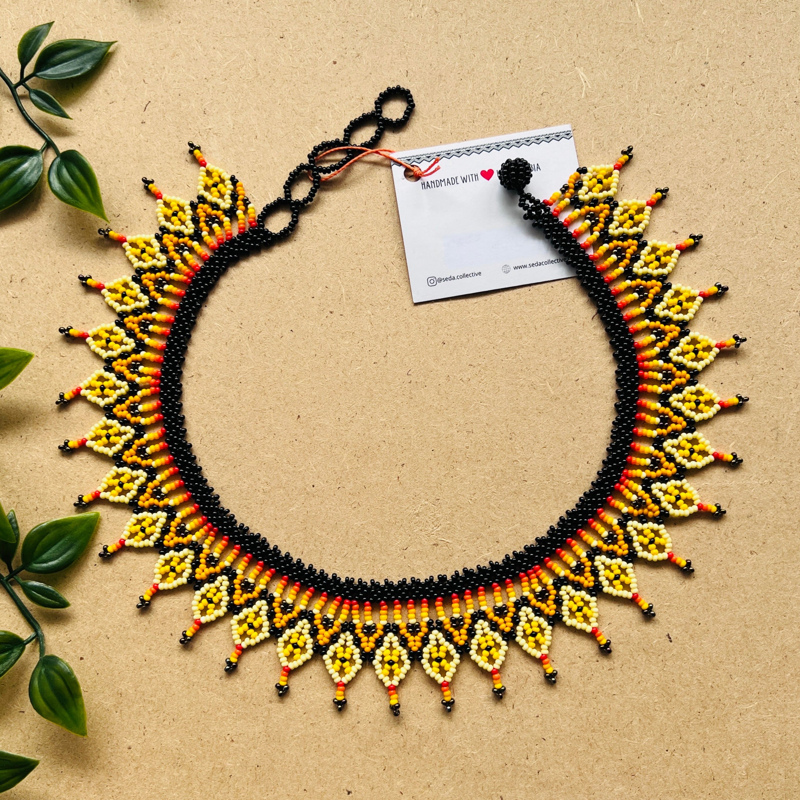 CLEARANCE | AUCHAMA #55