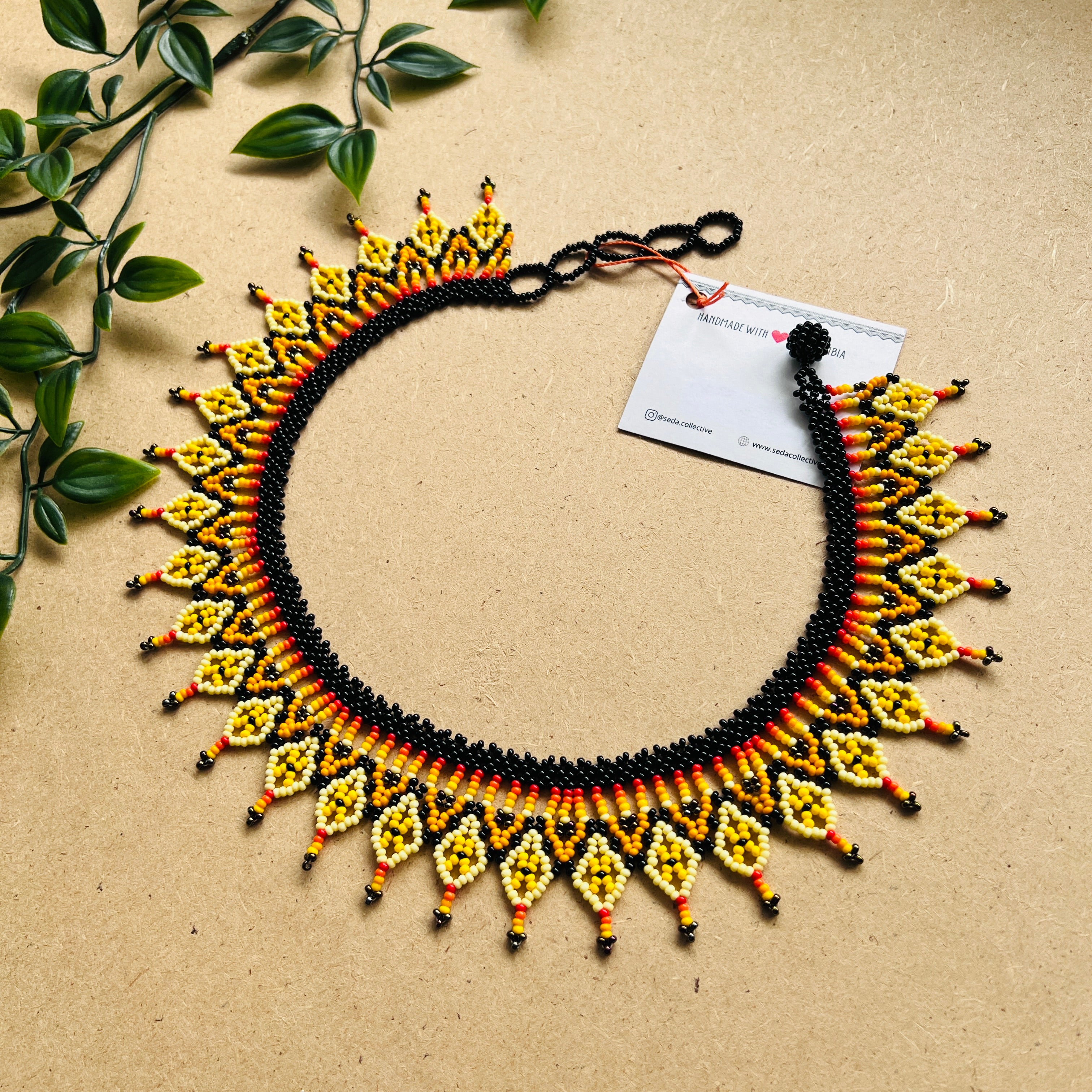 CLEARANCE | AUCHAMA #55