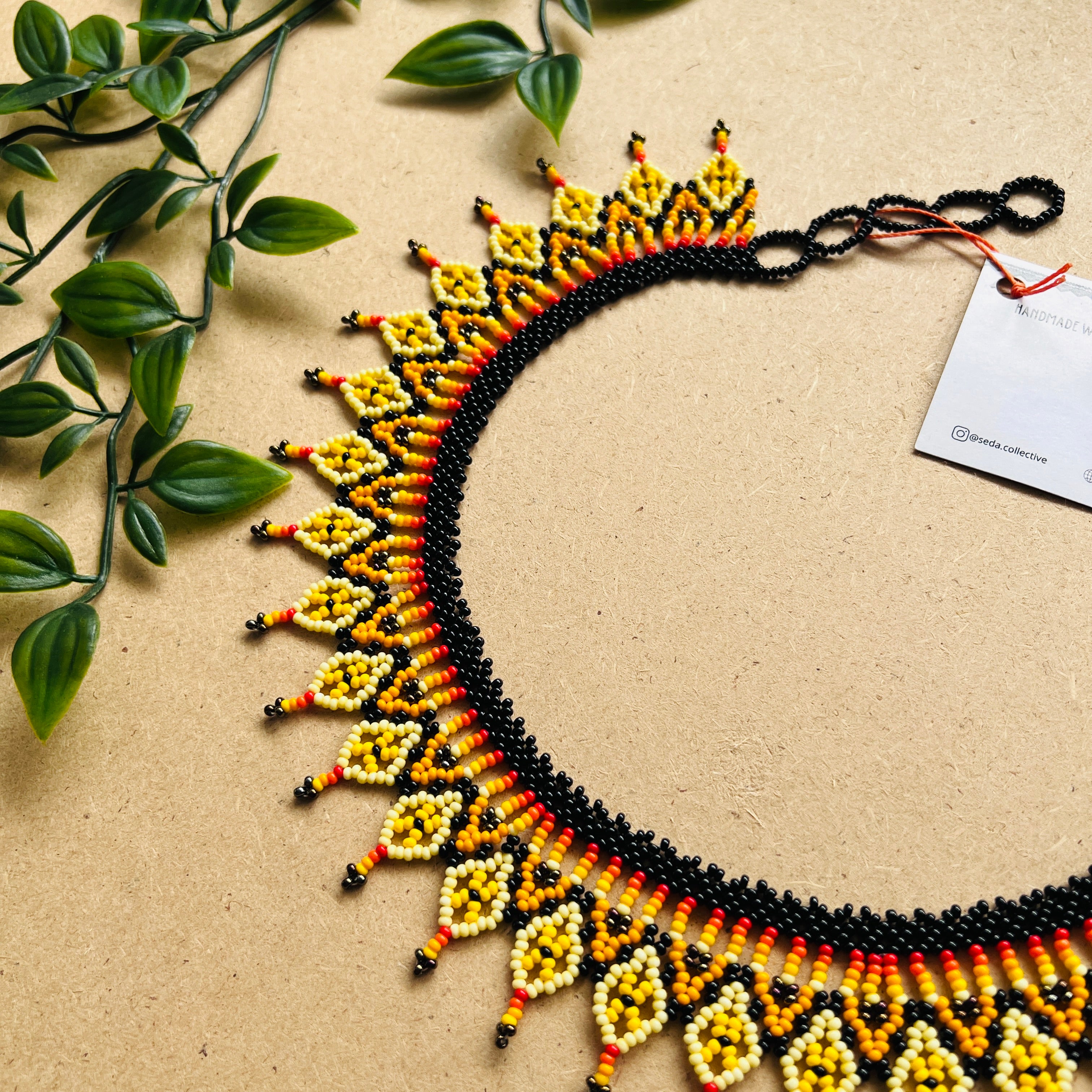 CLEARANCE | AUCHAMA #55