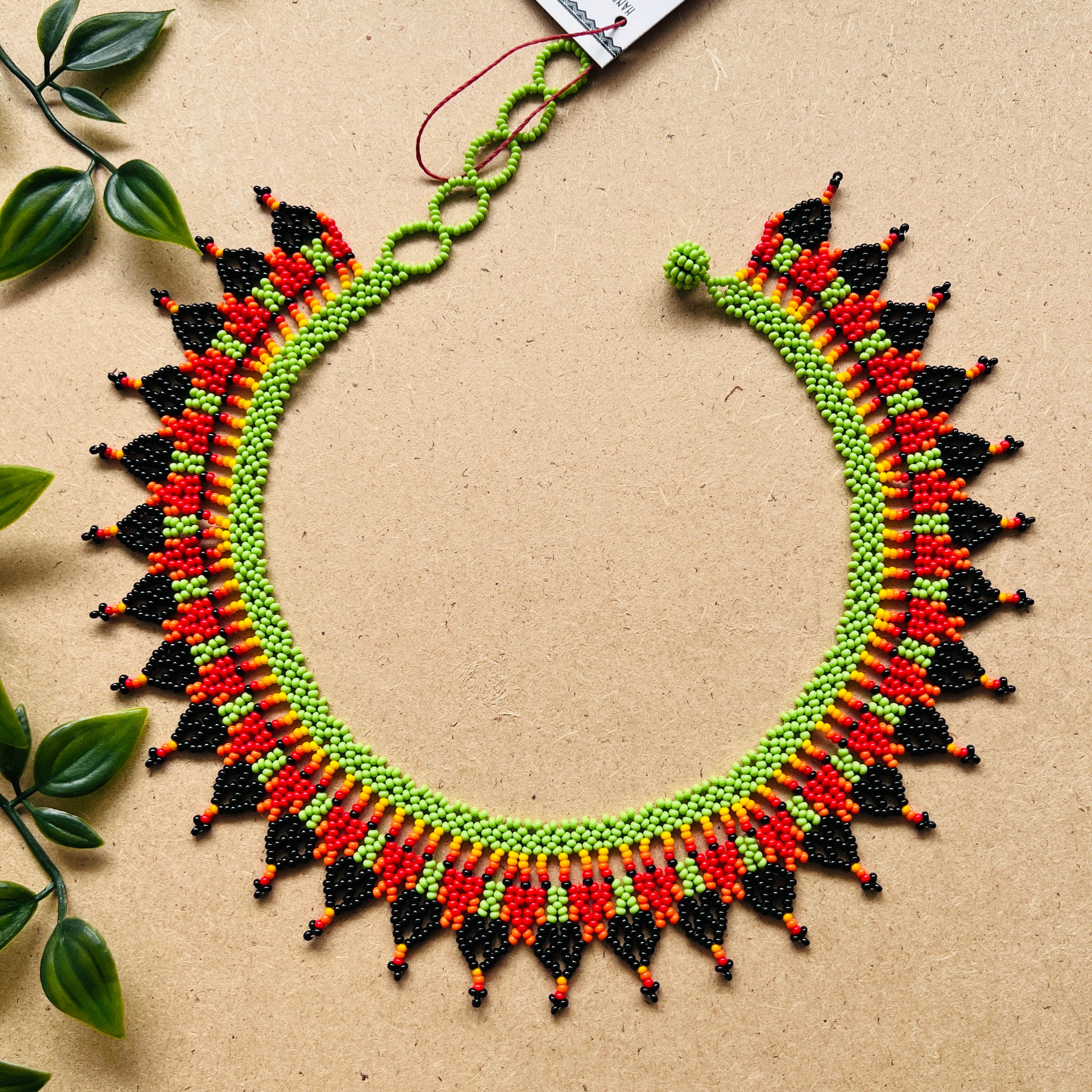 CLEARANCE | AUCHAMA #56