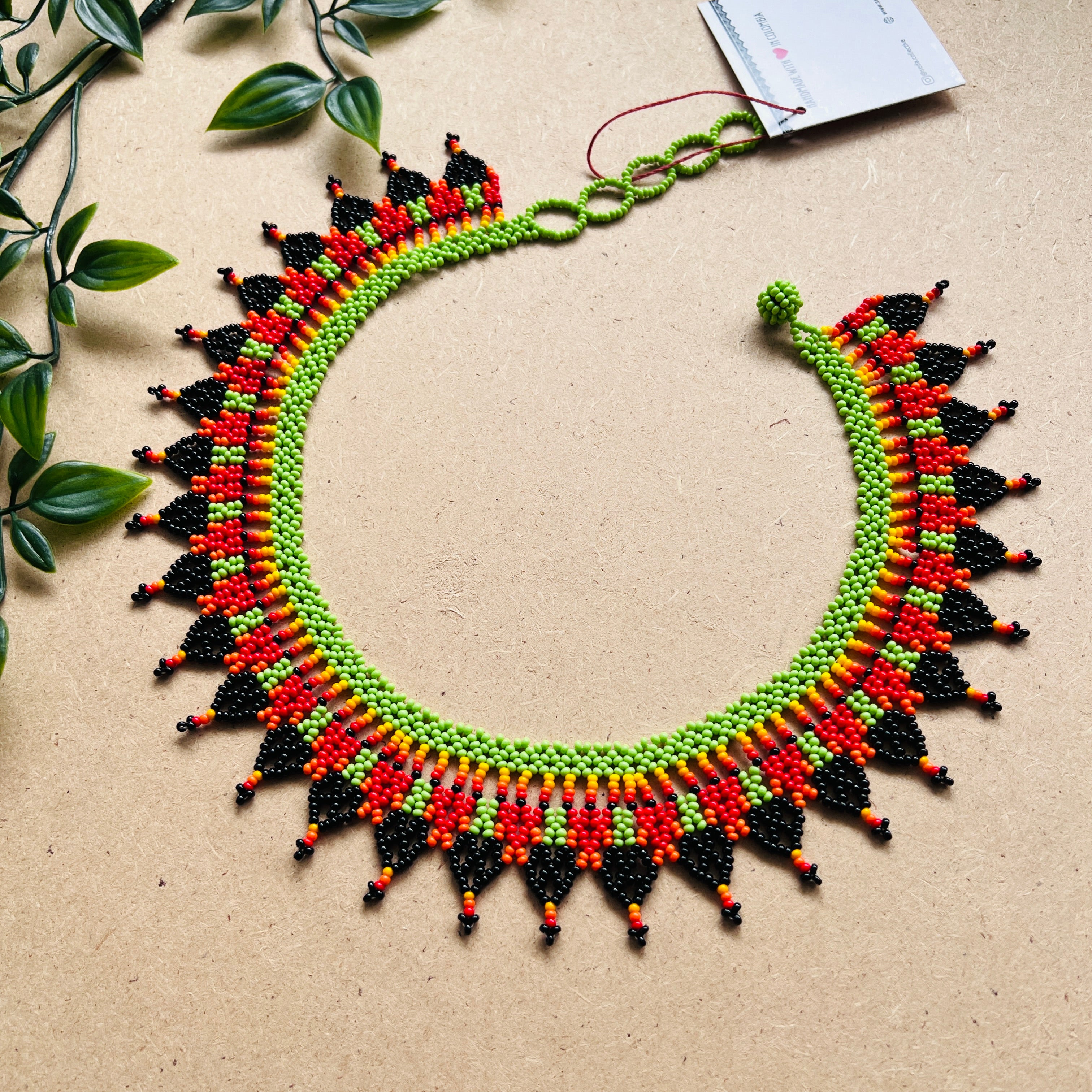 CLEARANCE | AUCHAMA #56