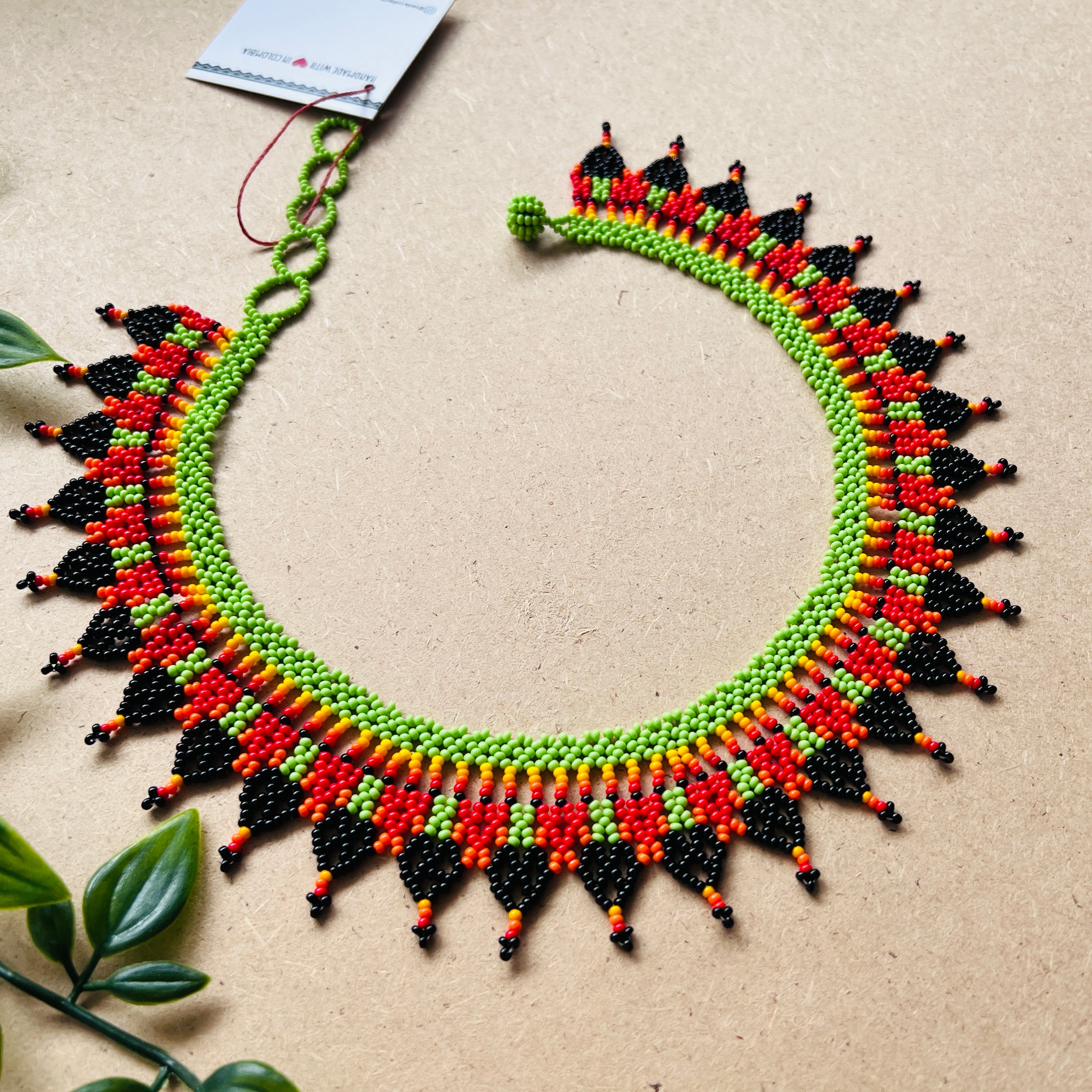 CLEARANCE | AUCHAMA #56