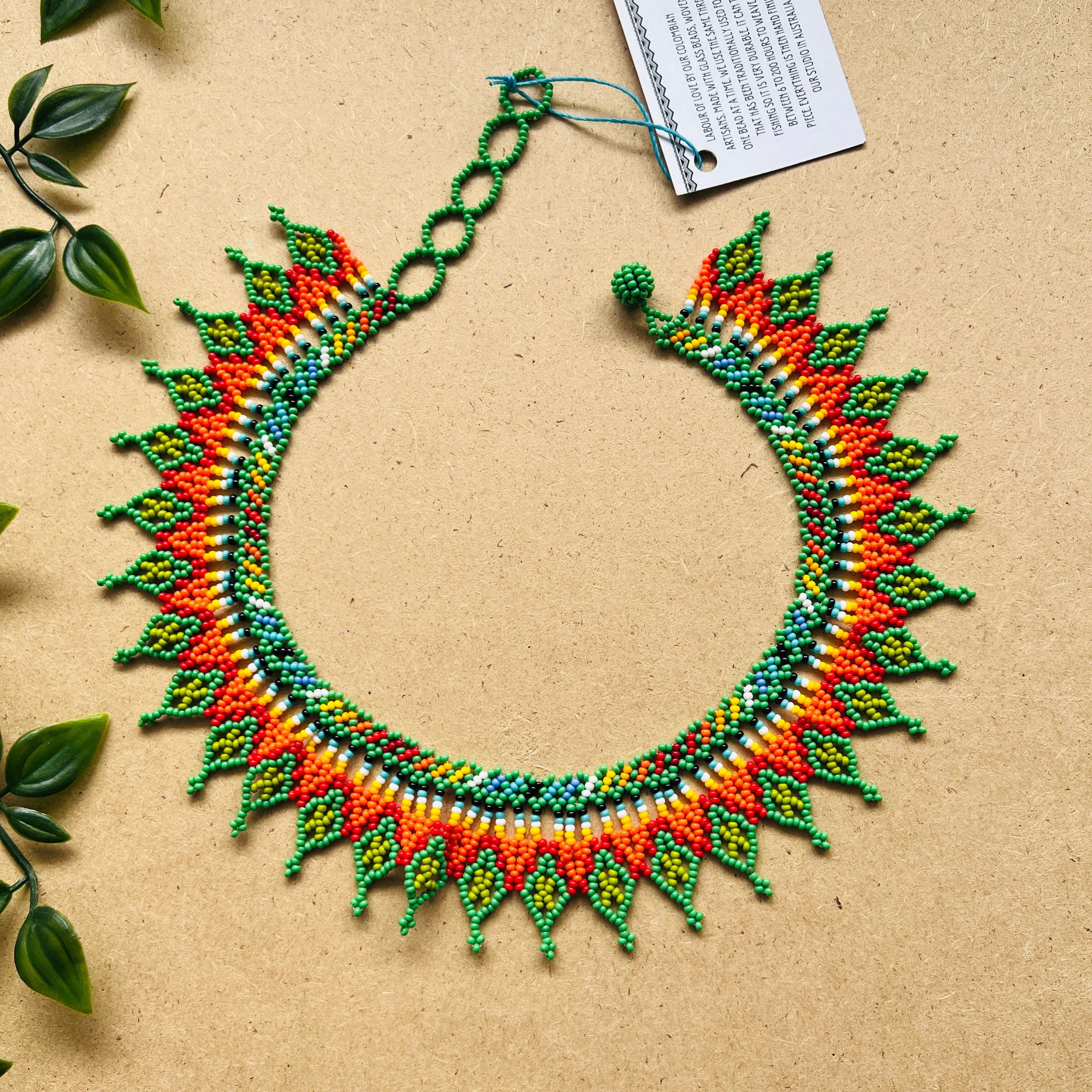 CLEARANCE | AUCHAMA #57