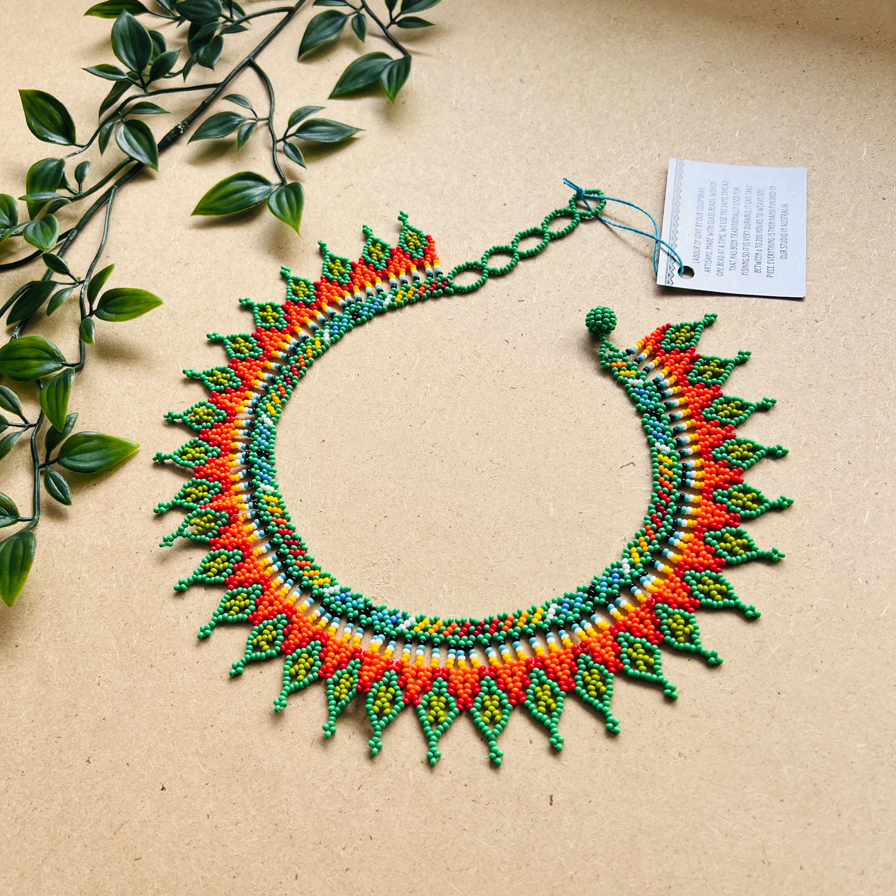 CLEARANCE | AUCHAMA #57