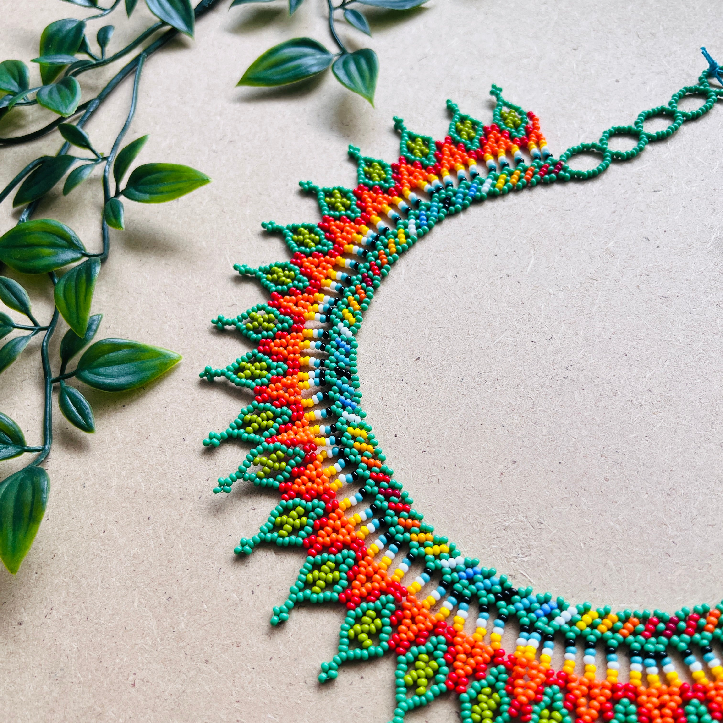 CLEARANCE | AUCHAMA #57