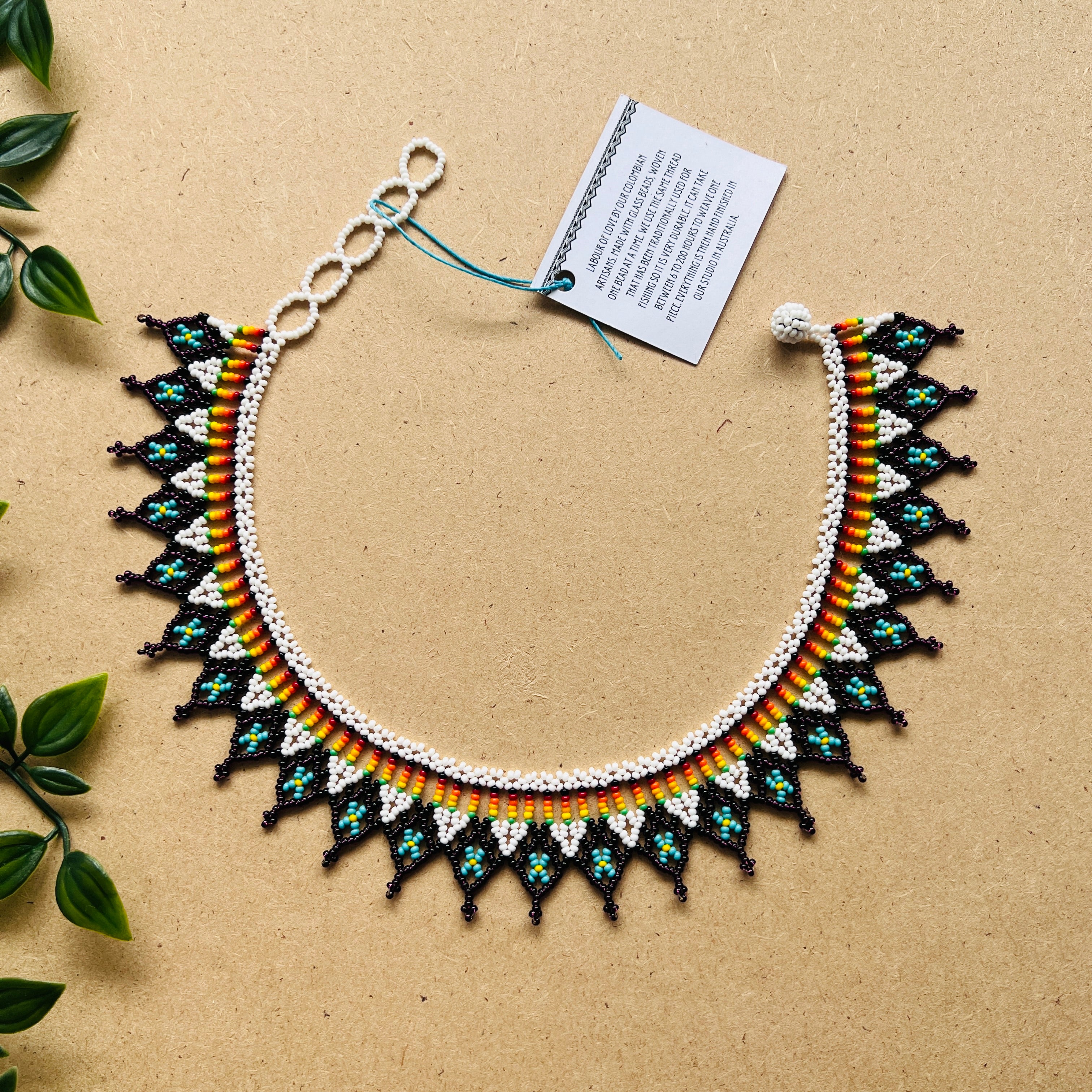 CLEARANCE | AUCHAMA #58