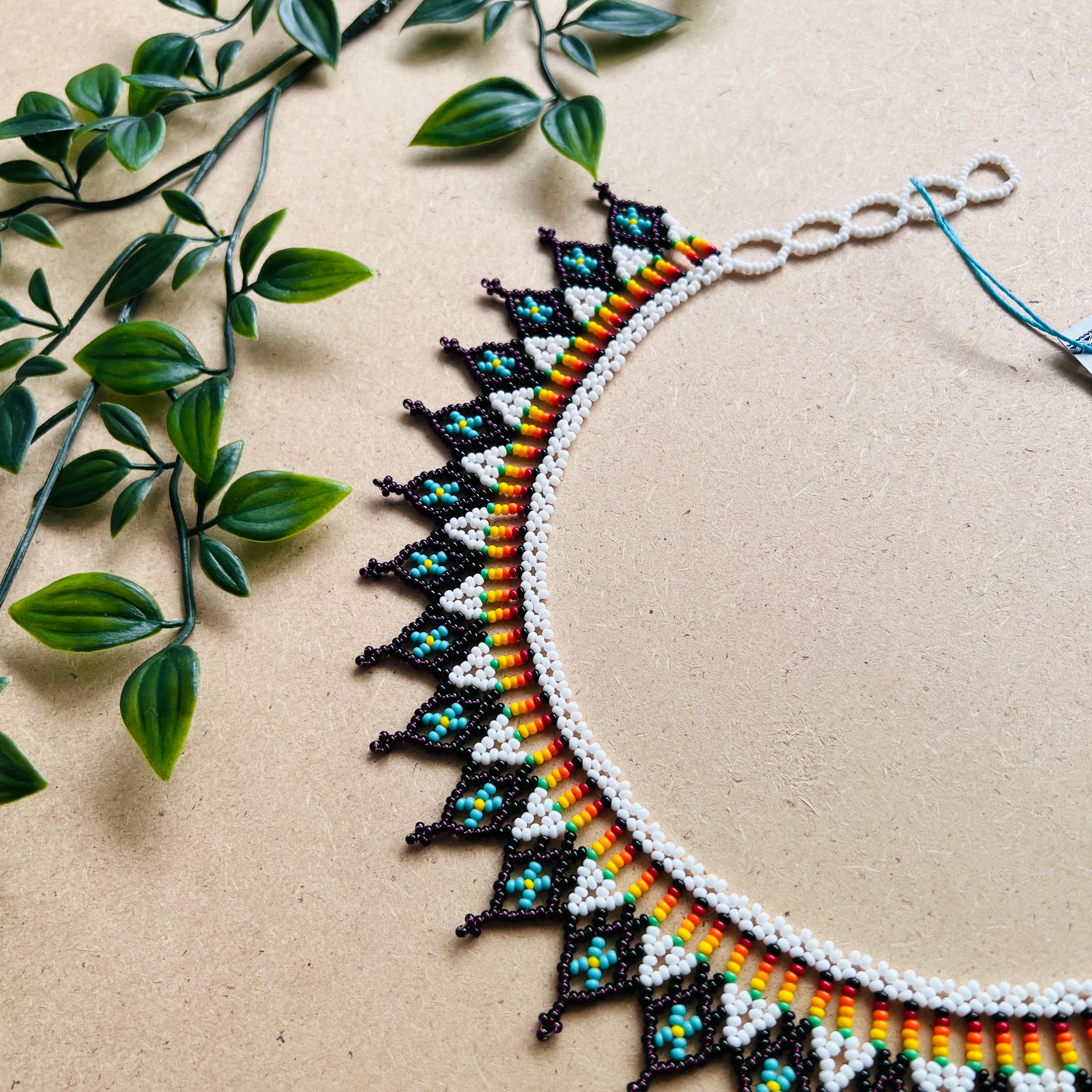 CLEARANCE | AUCHAMA #58