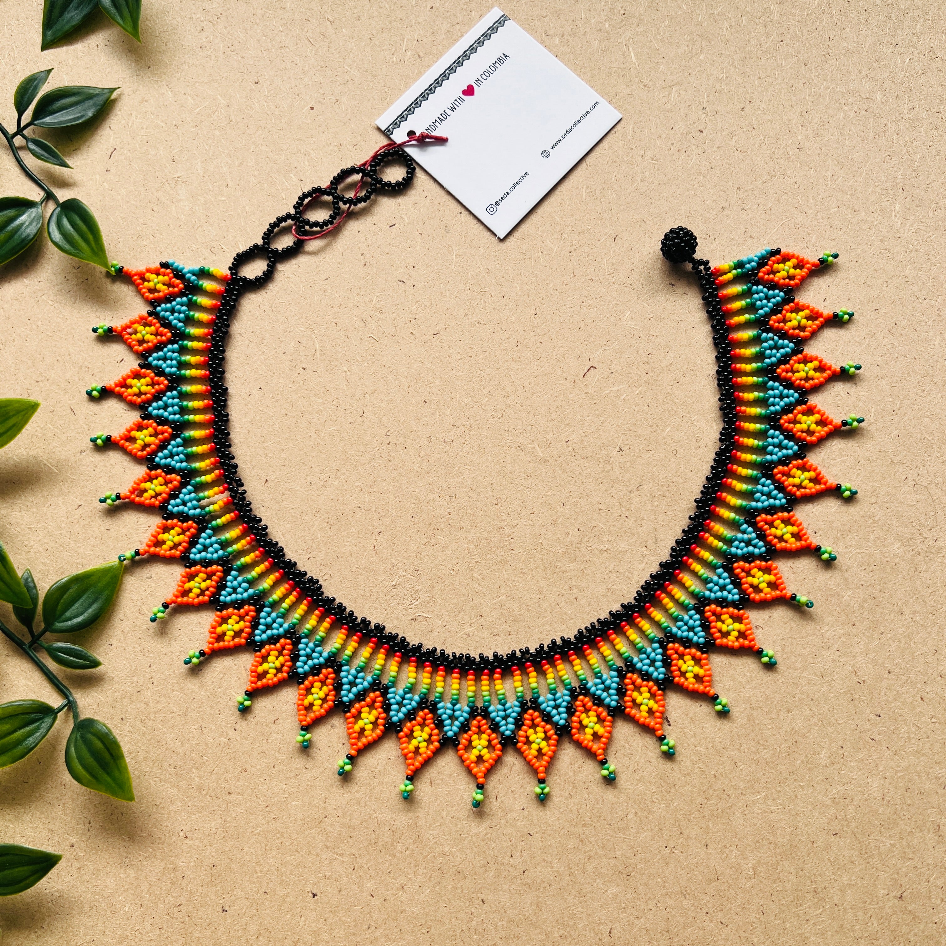 CLEARANCE | AUCHAMA #60