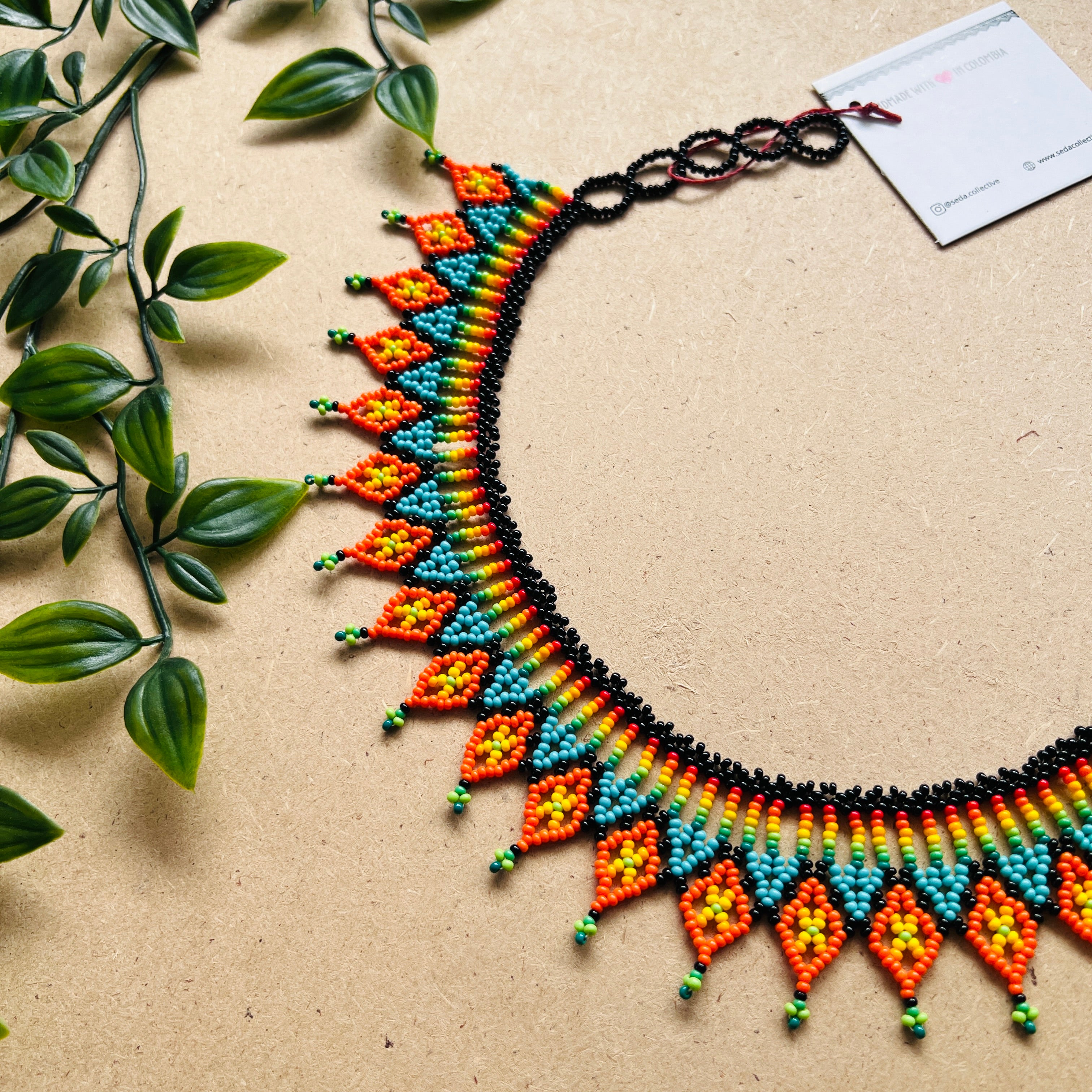 CLEARANCE | AUCHAMA #60