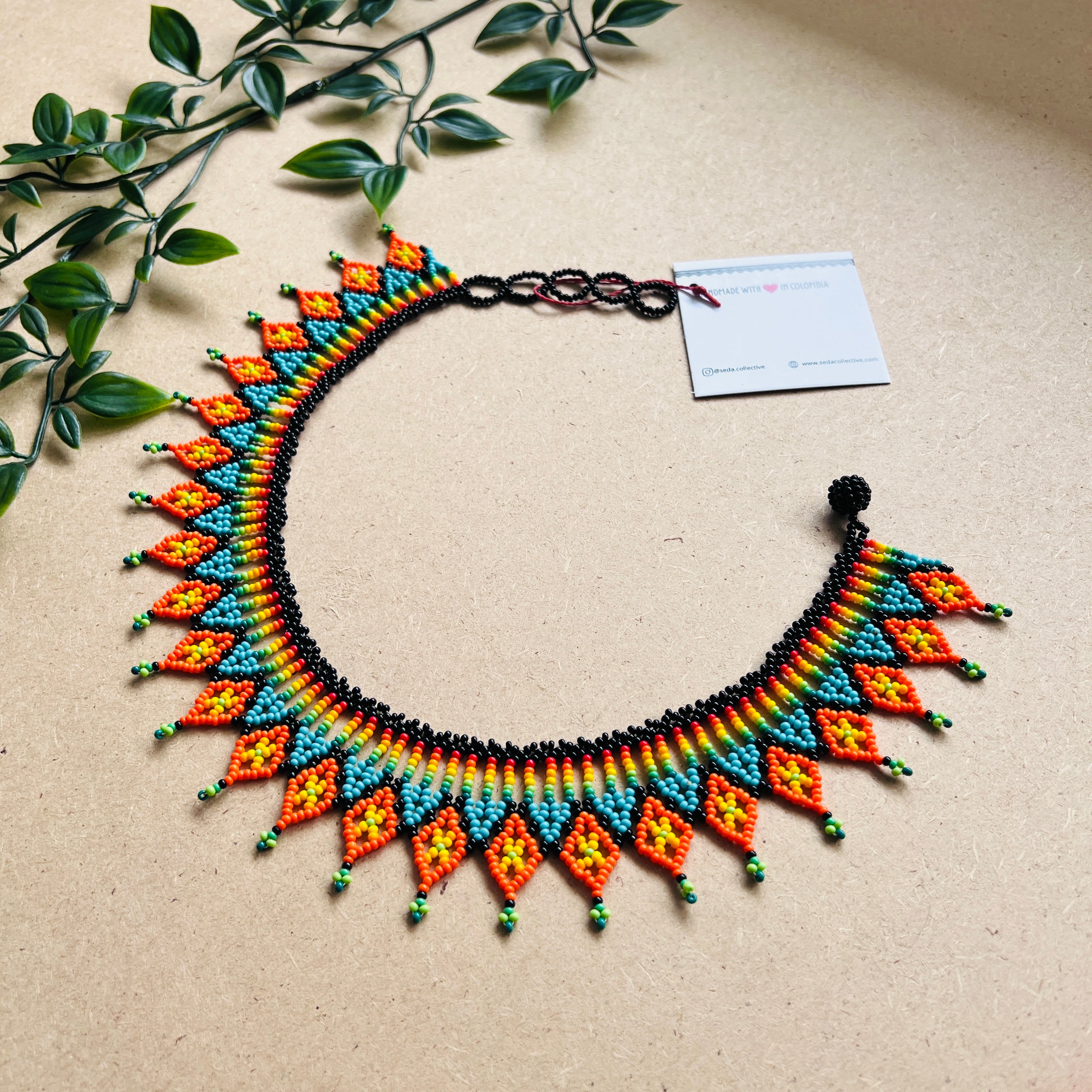 CLEARANCE | AUCHAMA #60