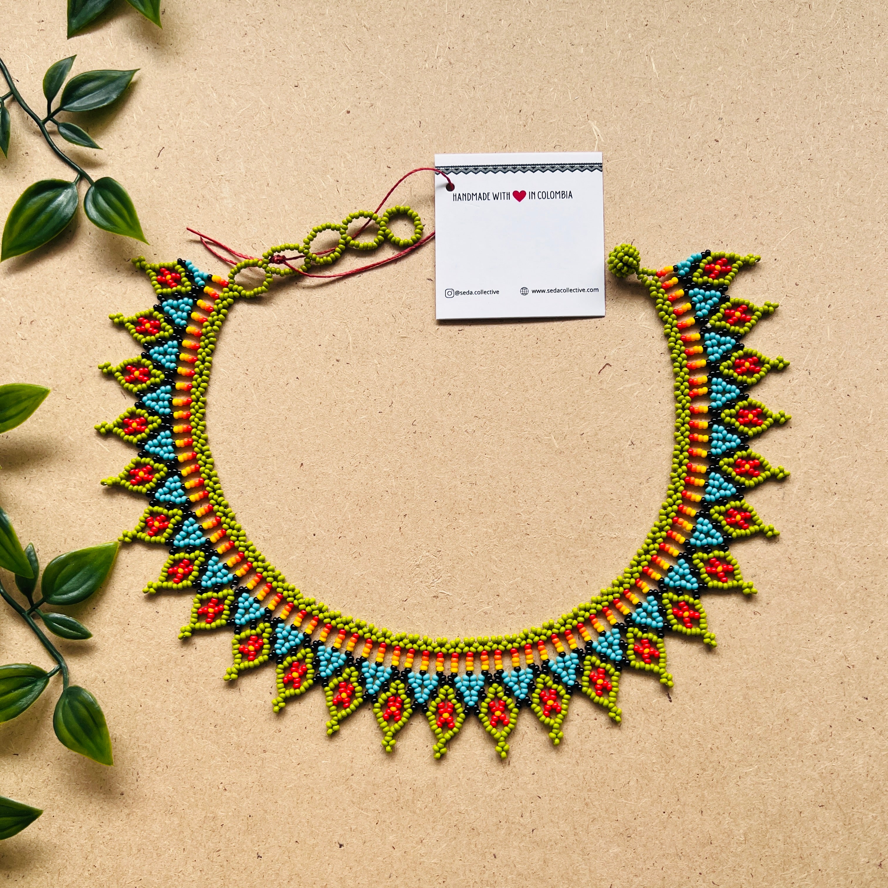 CLEARANCE | AUCHAMA #61