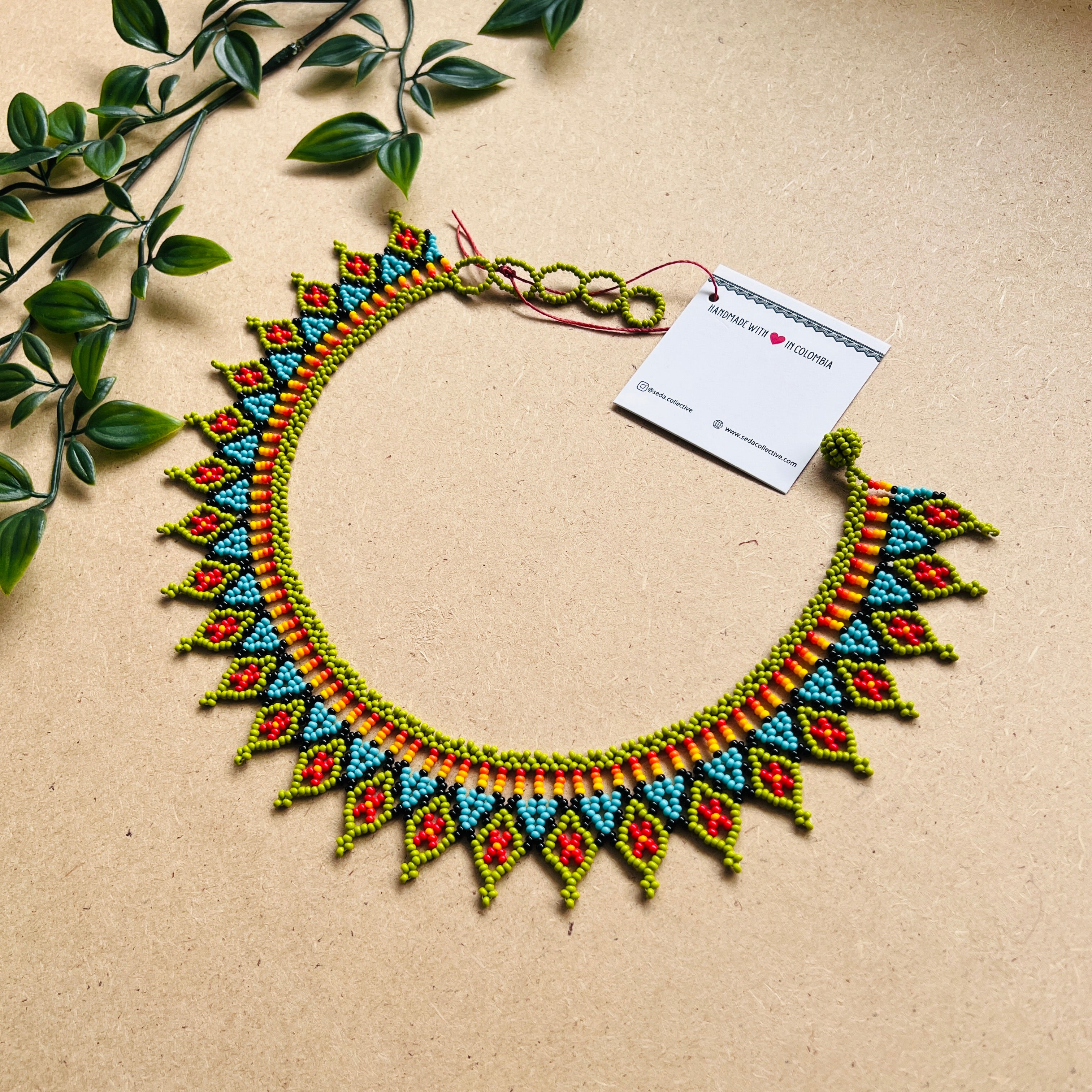 CLEARANCE | AUCHAMA #61