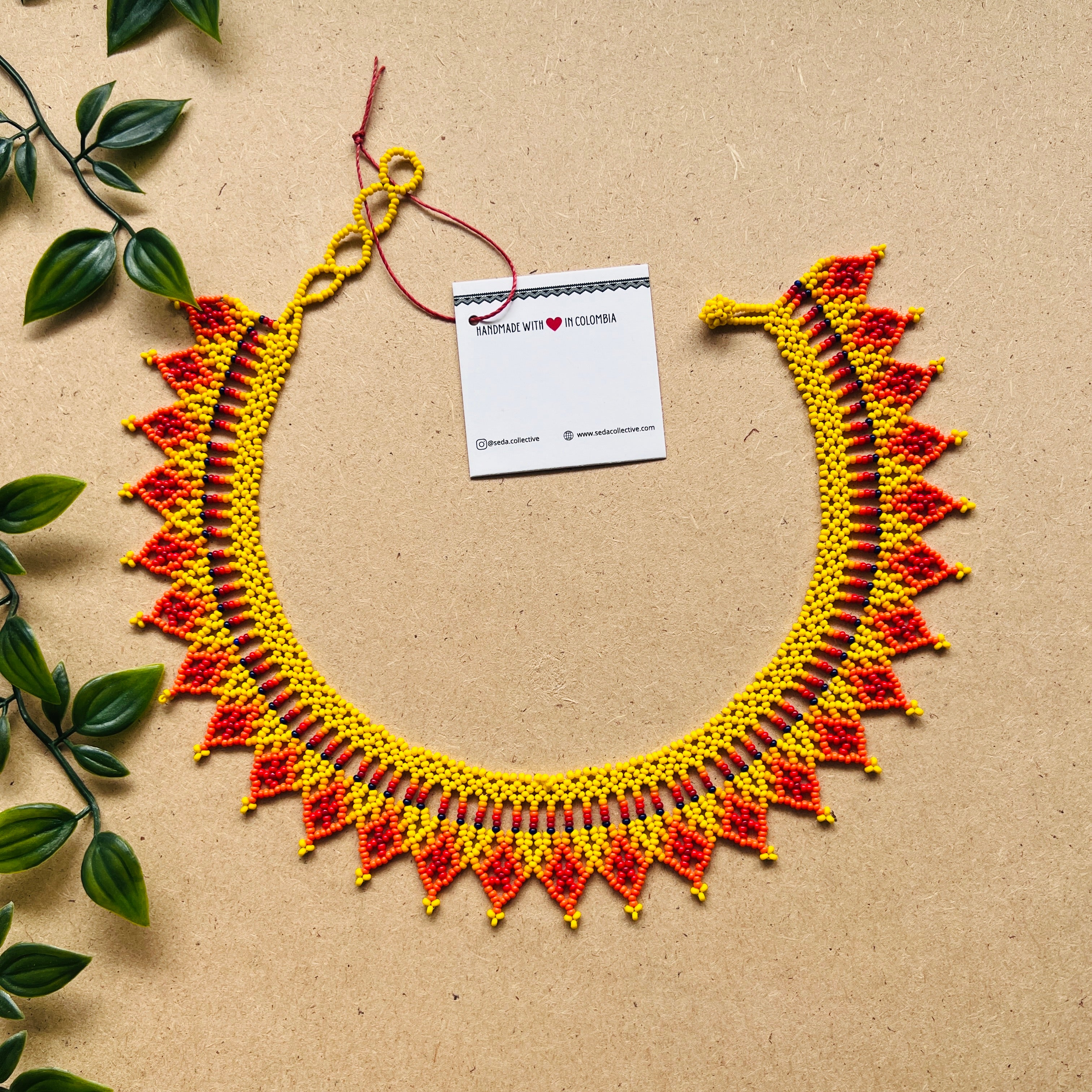 CLEARANCE | AUCHAMA #43