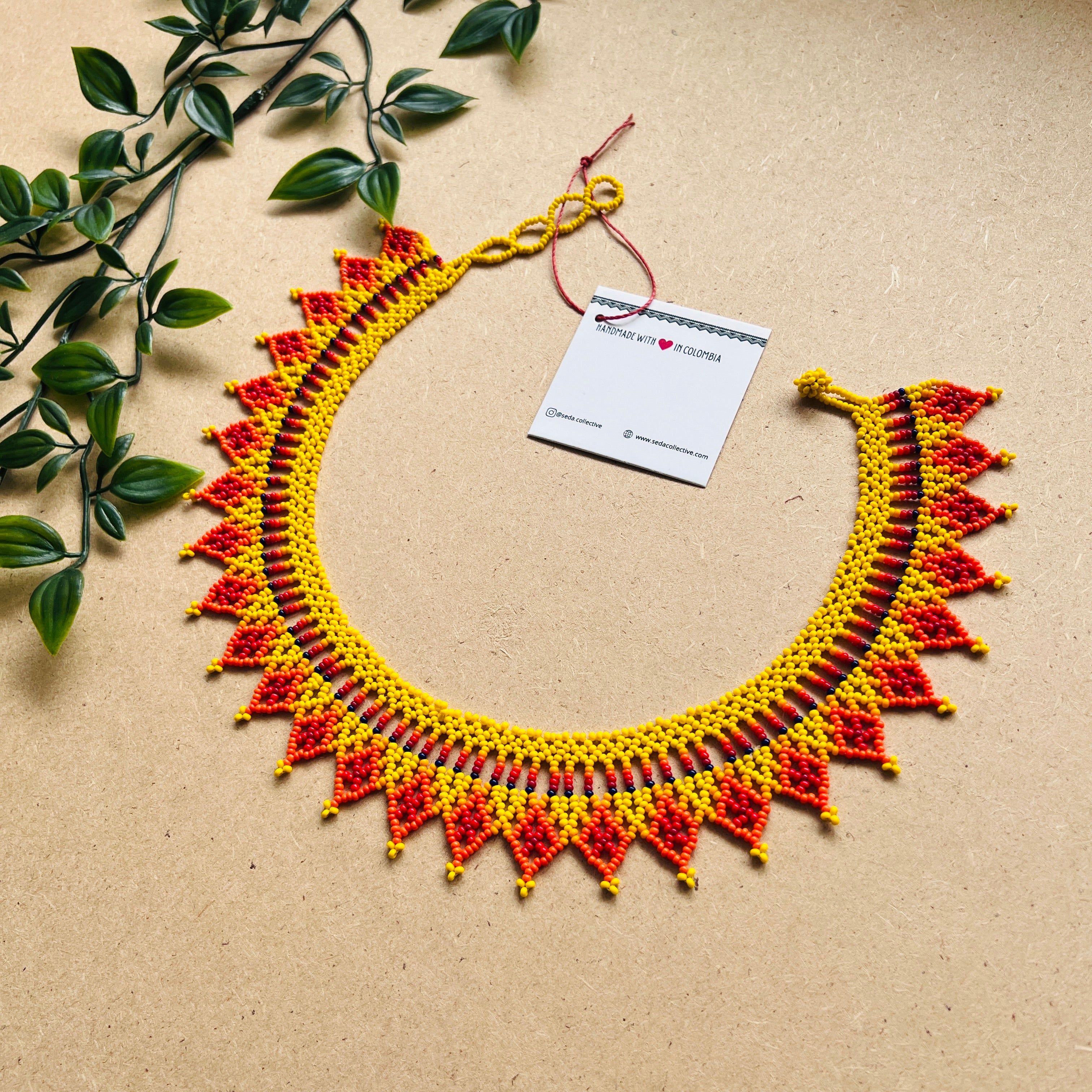 CLEARANCE | AUCHAMA #43