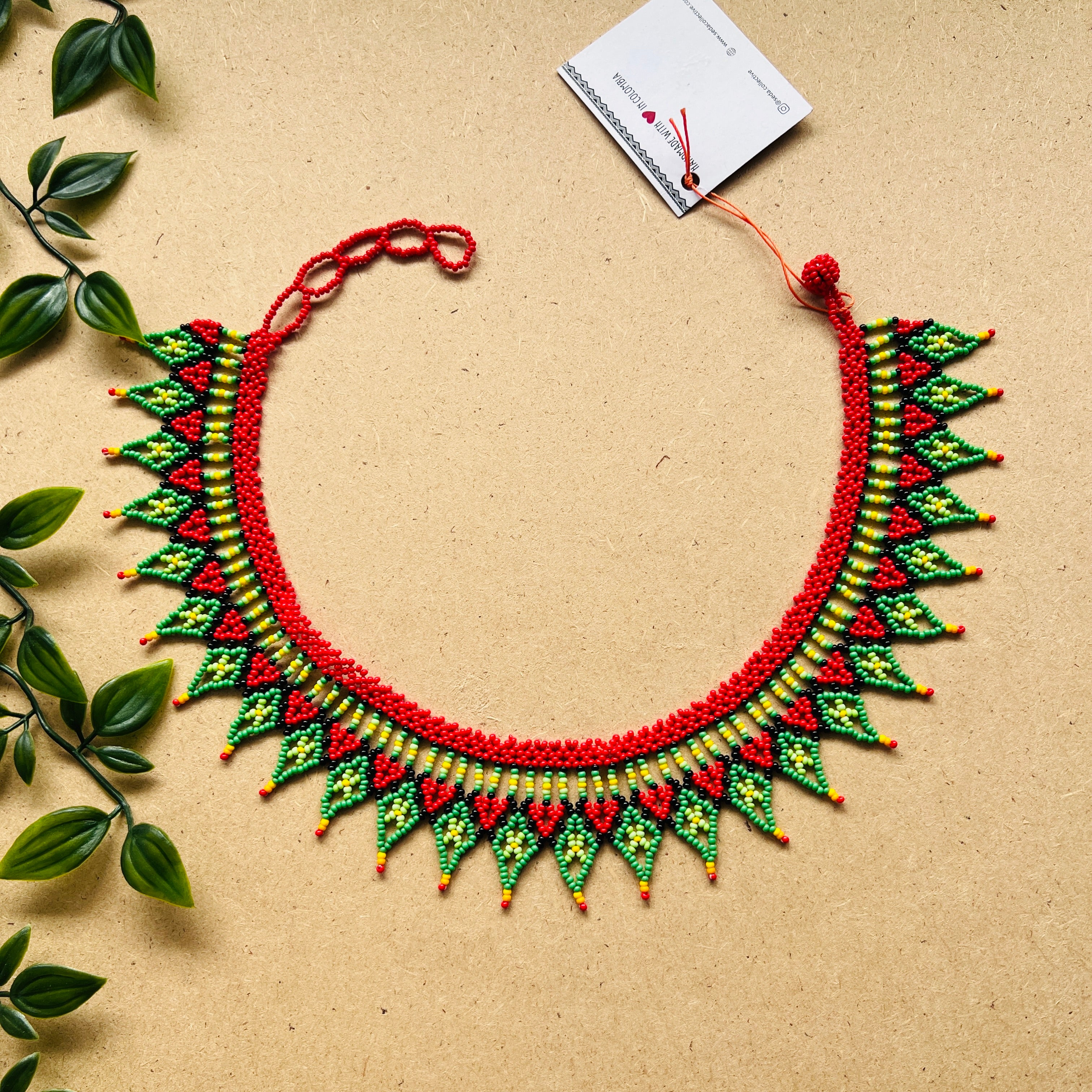 CLEARANCE | AUCHAMA #48