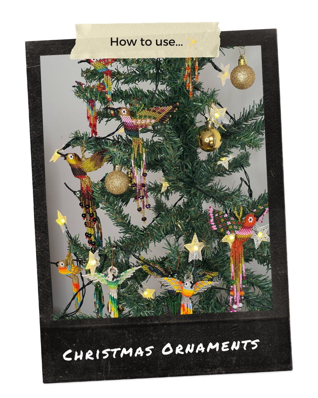 ARCHIVE | MACAW BIRD HANGINGS | MEDIUM