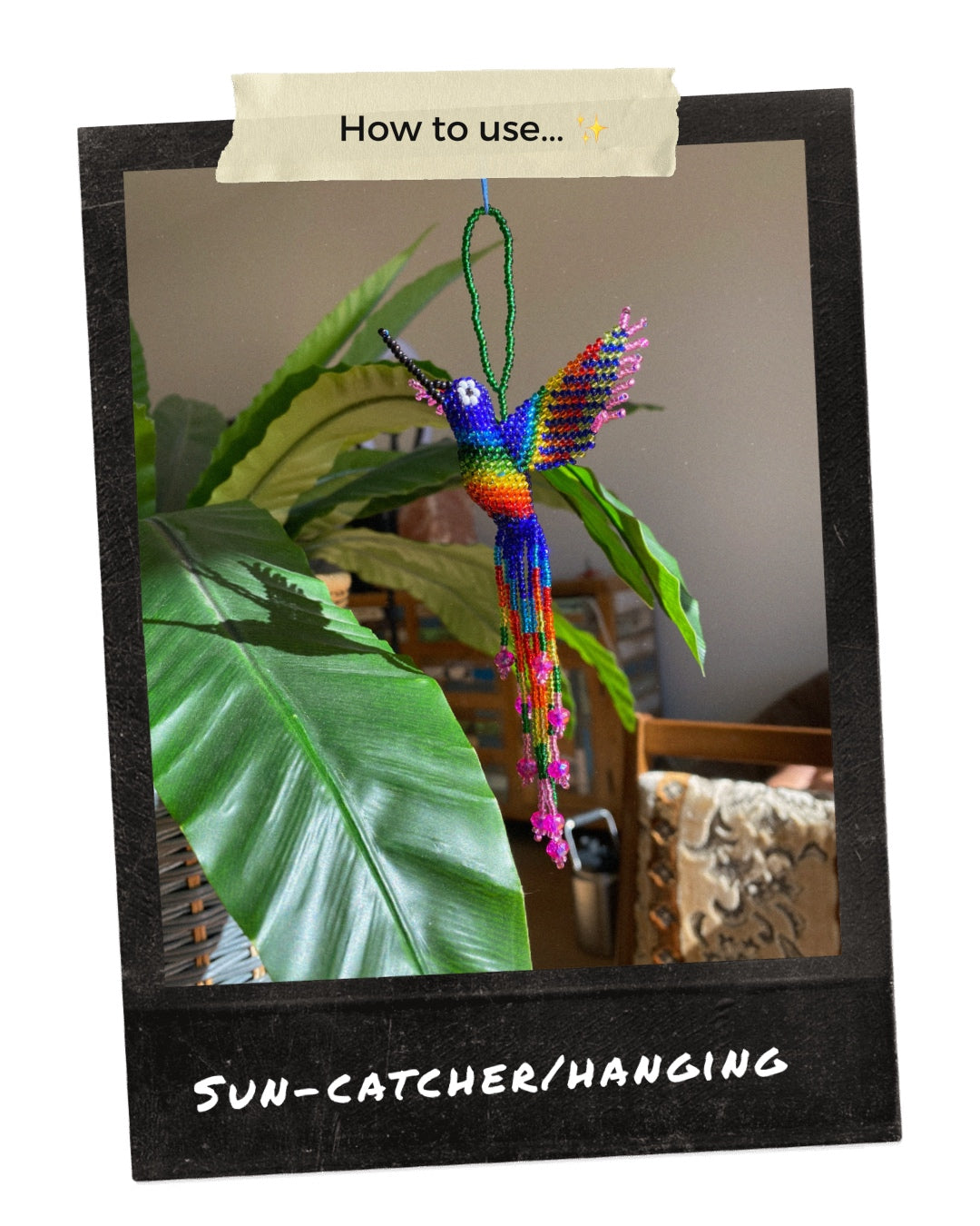 ARCHIVE | MACAW BIRD HANGINGS | MEDIUM
