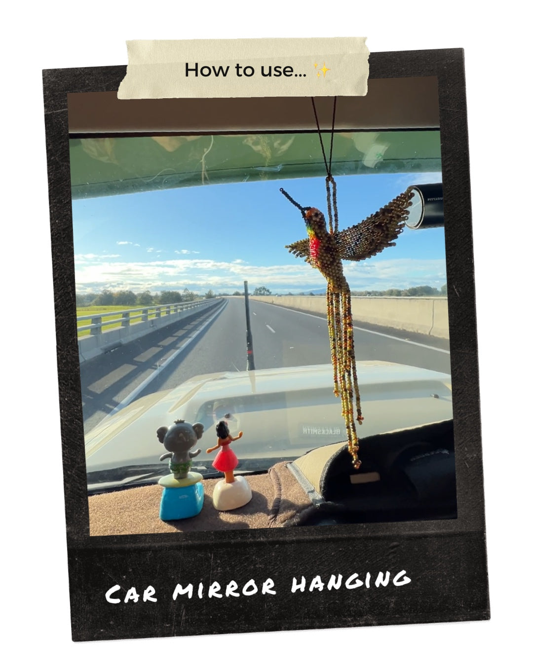 ARCHIVE | MACAW BIRD HANGINGS | MEDIUM